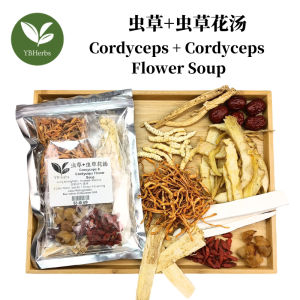 广西虫草虫草花汤 cordyceps & cordyceps flower soup