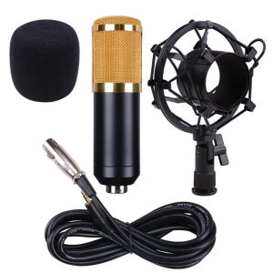 Micro Thu Âm BM800 kèm Giá đỡ Sockmount