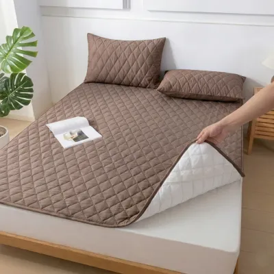 Plush Velvet Mattress Topper Thick Quilted Bed Mat with Elastic Straps Soft Mattress Pad for Single/Queen/King Size
