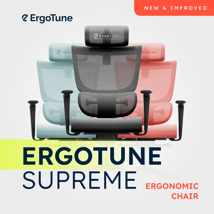 ErgoTune Supreme V3 V2.1 Ergonomic Chair Perfect for Home
