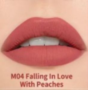 DW Misty Kiss Lock Color Matte Lipstick 4g | 24h Long Lasting Waterproof