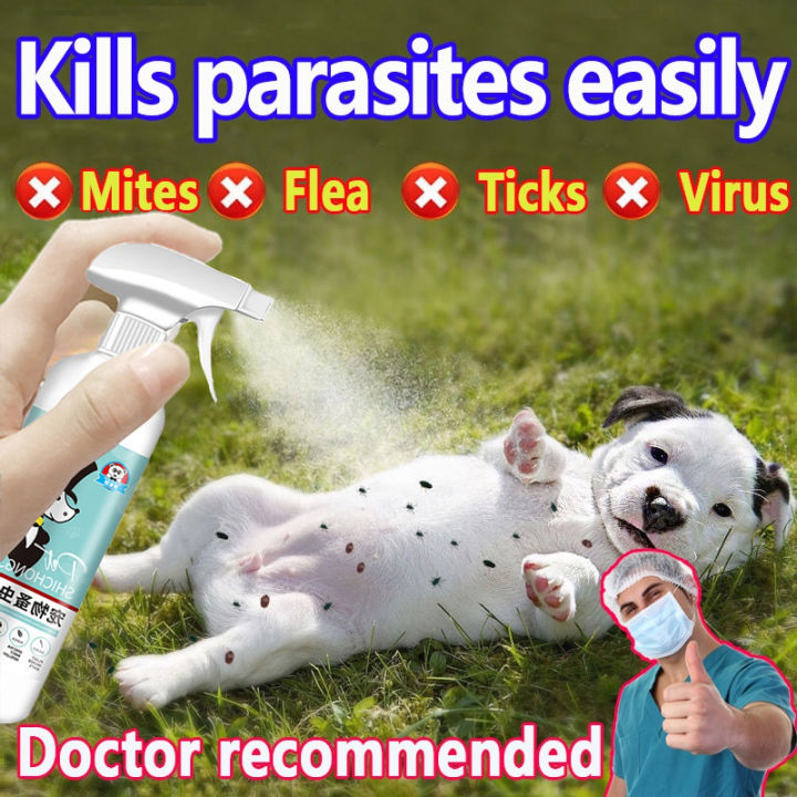 🥇 3 seconds to kill ticks 🥇Tick and Flea Killer 500ML Universal for