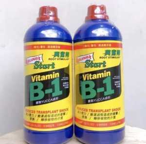PUPUK VITAMIN B1 TAIWAN - PEMICU TUMBUH AKAR TANAMAN