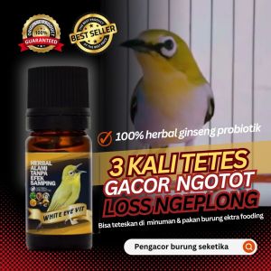 vitamin doping herbal khusus pleci langsung gacor buka paruh harian dan lomba 10ml
