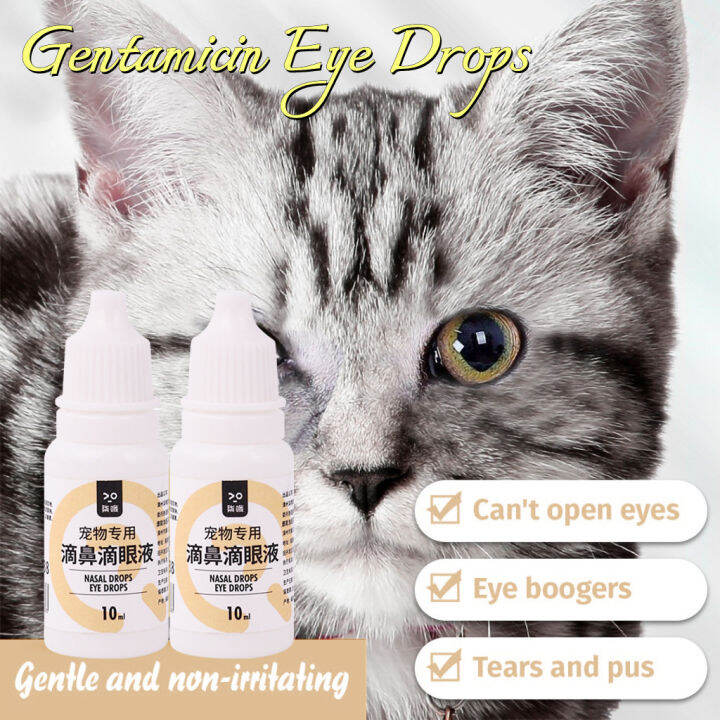 Buck Pet 10ML Gentamicin Sulfate Eye Drops For Infection For Dogs And ...