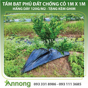 Tấm Bạt Phủ Gốc Cây Chống Cỏ 1m x 1m Hàng Dày 120g/m2 (tặng kèm 5 ghim/tấm)