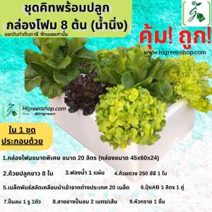 ชุดคิทกล่องโฟม 8 ต้น (น้ำนิ่ง)