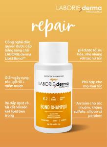 BỘ ĐÔI GỘI XẢ CHO TÓC MỀM MƯỚT CHẮC KHỎE LABORIE DERMA Bond Shampoo 250ML + Bond Conditioner 250ML