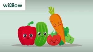 Bu Willow HYPOALLERGENIC  Dog Dry Food Hearty Beef and King Salmon Flavor -Willow