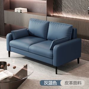 Sofa Modern Sofa for Living Room Couch for Small Spaces Apartment Sofa Also for Bedroom