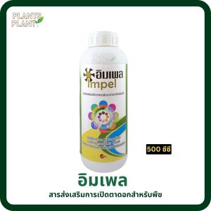 อิมเพล 500ซีซี (Impel) สาหร่ายสีน้ำตาล เพิ่มเปอร์เซ็นต์การออกดอก ออกดอกดก แขนงดอกเยอะ ช่อดอกสมบูรณ์ ติดผลดี รูปทรงสวย