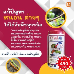 กำจัดหนอน ไอกี้-บีที [Aiki-BT] สารชีวินทรีย์ประสิทธิภาพสูง สกัดจากธรรมชาติ FK-1 เร่งฟื้นฟูจากการเข้าทำลายของเชื้อราในพืช