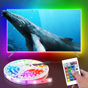 5050 RGB LED Strip Light IP65 Diode Tape Flexible LED Light Ribbon DC 5V USB Adapter+24Keys IR Remote Bedroom Kitchen Living Room TV Backlight Home Decorate Lighting