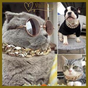 [Valitoo] 1PC Vàng Có Thể Điều Chỉnh Con Chó Mèo Chuỗi Vòng Cổ Vàng Cho Con Chó Mèo Con Vật Nuôi Phụ Kiện