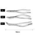 Adult Tooth Extracting Forceps Extraction Pliers Dental Instrument. 