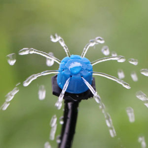 ชุดรดน้ำต้นไม้ ชุดพ่นหยดน้ำ ชุดพ่นละอองน้ำ การหยดน้ำแบบไมโครพืช รุ่นสีฟ้า10เมตร หัวพ่น10หัว