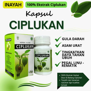 Kapsul Ciplukan Isi 60 Pcs Herbal Inayah