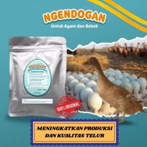 NGENDOGAN Vitamin Herbal Untuk Ayam Bebek Itik Meningkatkan Produksi Telur