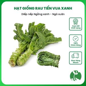 Hạt giống Rau tiến Vua xanh (Diếp nếp ngồng Ngó xuân) - Gói 3.5gr khoảng 3000 hạt - Nội địa Trung
