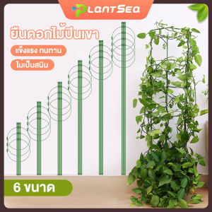มีสต็อกพร้อมส่งจากไทย กรงพืช เสามะเขือเทศ ซูมไม้ โครงเถาวัลย์ โครงปลูก แบบทนทาน อุปกรณ์สำหรับพืชไม้เลื้อย จัดทรงต้นไม้ เลื้อย ทรง