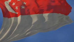 🚩 🇸🇬 Seller🚩144*96cm Singapore Flag National Polyester Flying For Street Terrace Garden 60th National Day Decoration