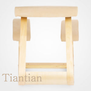 Ergonomic Kneeling Chair Office Study Chair