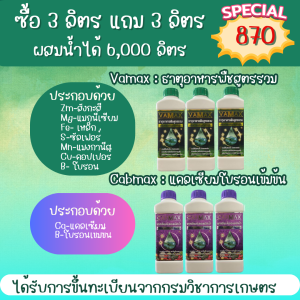 โปร 3 แถม 3 Cabmax แคลเซียมและโบรอนเข้มข้น + Vamax ธาตุอาหารรวมเข้มข้น