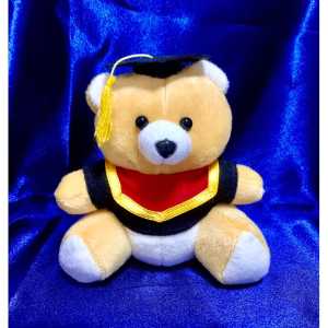 Boneka teddy bear wisuda mini buket topi + toga