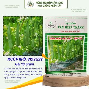 Hạt Giống Mướp Khía Lai F1 VIOS 229 Gói 10G – Cây Khỏe Trái Đẹp Sai Trái Năng Suất Tốt