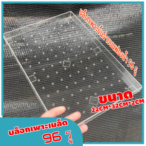 บล็อกเพาะเมล็ด ขึ้นฉ่าย 96 ช่อง