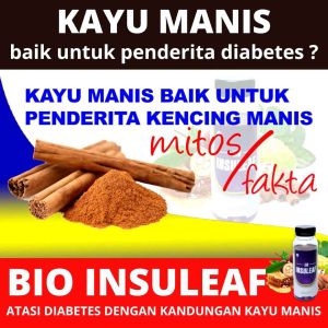Paket Bio Insuleaf 3 Botol - Solusi Ampuh Turunkan Gula Darah Tinggi dan Diabetes HALAL BPOM 250ml