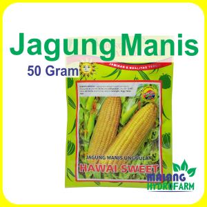 Benih Jagung Manis Hawai Sweet 50 gram Cap Bunga Matahari dataran menengah - tinggi unggul bibit biji swet swit corn hydroponik hidroponik