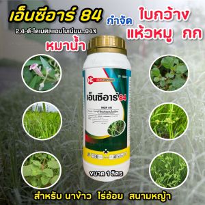 24-ดี ไดเมทิลแอมโมเนียม เอ็นซีอาร์84 ทูโฟดี กำจัดหญ้า ใบกว้าง กก  แห้วหมู 1 ลิตร สารเดียวกับ ดาราเอมีน 2-4ดี 2-4D หมาแดง