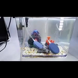 ถูกหัวทรายออกซิเจน หัวทรายจาน หัวทรายตู้ปลา เนื้อละเอียด กระจายอากาศได้ด หัวทรายกลม  อ๊อคซิเจนปลา มี 5 ขนาด