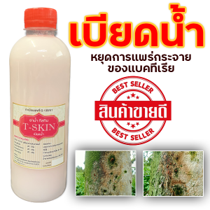 สมุนไพรเบียดน้ำหยุดการแพร่กระจายแบตทีเรีย