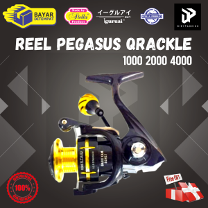 Reel Pancing Pegasus Qracle Power Handle 2000 4000 8+1BB