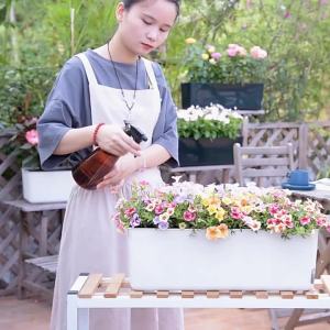 LZD  Balcony Extra Large Planting Basin Household Planting  Indoor Self-Absorbent Irrigation Desktop Lazy Flower Pot Plastic Rectangular