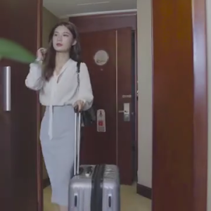 Travel Friendly Steamer with Rotatable Handle Miniature Wireless Clothes Iron Cordless Fast Heating Ironing Machine