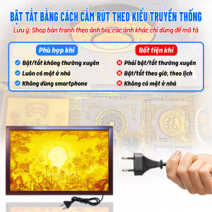 Đèn Hào Quang Trúc Chỉ In Ngang Hoa Sen Trang Trí Bàn Thờ Treo Tường TC-TN-79