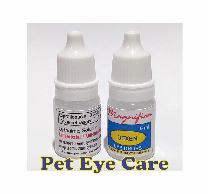 Magnifica Dexen Dexamethasone Ciprofloxacin Eye Drops for Dogs & Cats