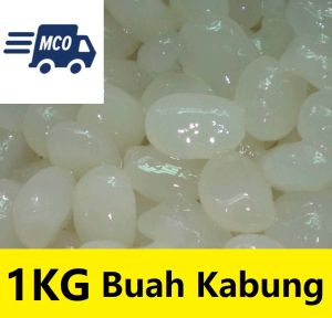 Buah Nau buah nau buahnau buah nao buah kabung 1KG buah laicikang lai ci kang nau enau kolang kaling atap nipah kelapa laut attap seed manis sweet