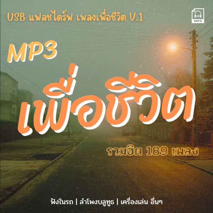 USB แฟลชไดร์ฟ เพลงเพื่อชีวิต V.1 189 เพลง | Lazada.co.th