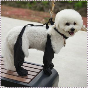 รองเท้าผ้าใบ สัตว์เลี้ยงและการทําสวน รองเท้าสัตว์เลี้ยง แฟชั่ น ่ารัก ทนต่อการสึกหรอ สะดวกสบาย บาง