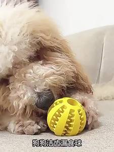 Interactive Pet Toy Squeaky Sound dog and cat activity toy chew and play toy for interactive play and daily enrichment for Cats Dogs and Pet Owners for Home Grooming Feeding Training and Travel