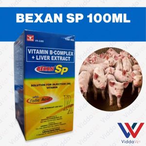 BEXAN SP 100ML for Recovery and Stamina for Animals injectable 50 BExan sp for pig BExan injectable fighting cock