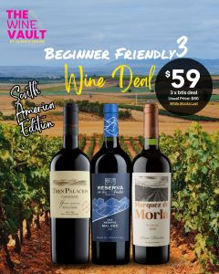 Beginner Friendly Wine Deal 3 - South American Edition