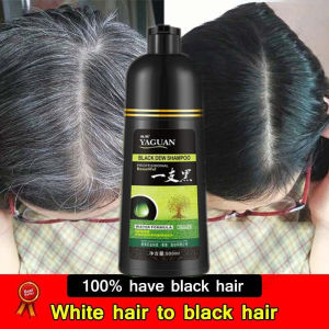Original 500ML Black/Brown Hair Shampoo Herbal Hair Dye Shampoo Black/Brown Color Shampoo in 5 Minutes