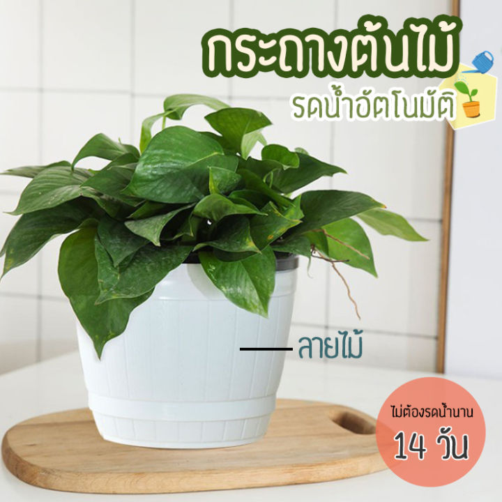 9 กระถางต้นไม้ลายไม้และกระถางรดน้ำอัตโนมัติ ดีไซน์สวย อัปเดตปี 2025