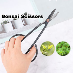 Long Handle Bonsai Scissor: Precision Cutting Tool for All Levels