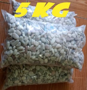 BATU HIAS PANCAWARNA 5 KG DEKORASI AQUARIUM DAN TAMAN